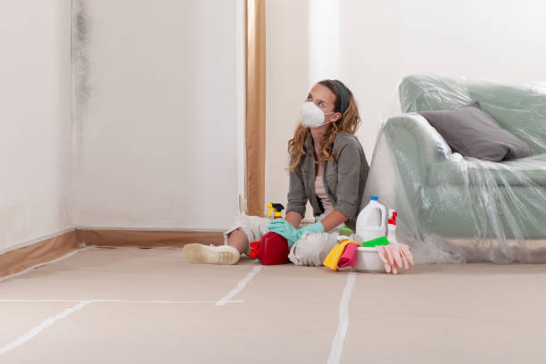 Reliable Mold Remediation contractor in Cibolo, TX by WQB Mold Removal